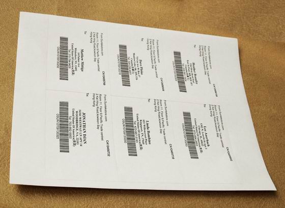 Self-Adhesive Sticker