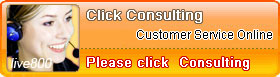 consulting service