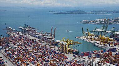 50+ Shipping Partners